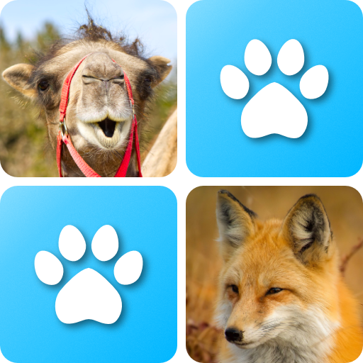 Pexeso Animals